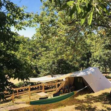 Ein ruhiger Campingplatz inmitten üppig grüner Bäume, mit einem großen weißen Zelt, einer grünen Hängematte, einem Holzzaun, einem Picknicktisch und durch die Bäume fallendem Sonnenlicht unter blauem Himmel.