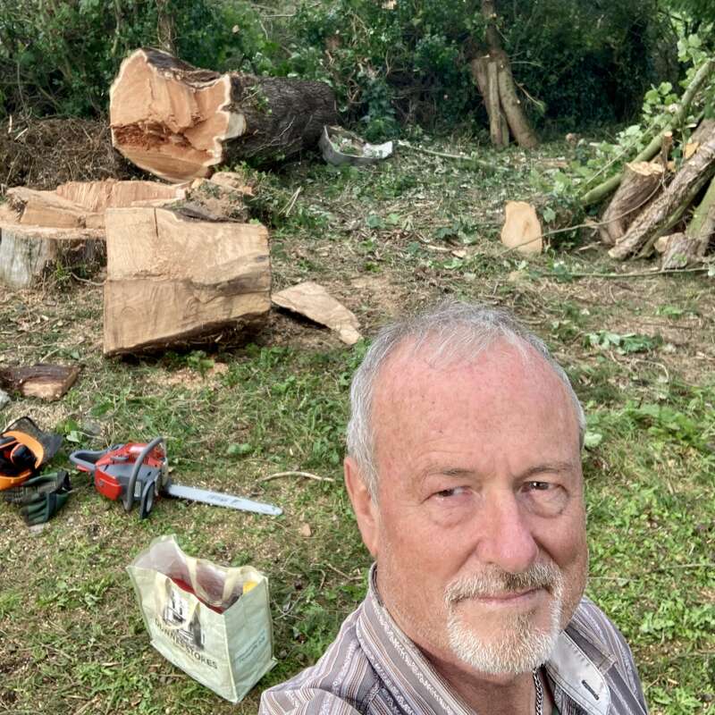 A man stands in front of a recently cut tree. Chainsaw, gloves, and tools are on the ground. Large tree segments and greenery are scattered behind.