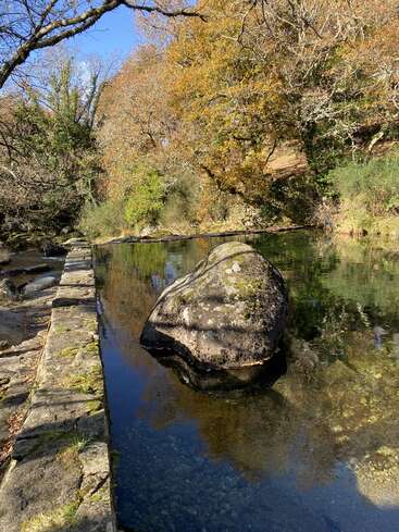 The image depicts a serene natural setting, featuring a stone wall and a large rock in a tranquil body of water, surrounded by trees and foliage.