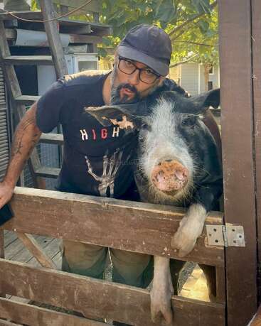 Un hombre con gafas y sombrero se apoya en un gran cerdo. Ambos parecen felices, de pie junto a una puerta de madera rodeada de vegetación y estructuras agrícolas.