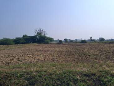 A flat, dry field stretches under a clear blue sky. Distant green bushes and sparse trees line the horizon, creating a peaceful rural landscape.