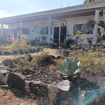 The image depicts a house with a garden in front, featuring a hammock, plants, and rocks, set against a clear blue sky.