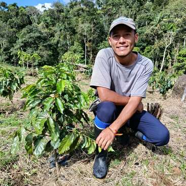Un joven con camisa gris y gorra se arrodilla junto a plantas verdes y sanas en una granja, rodeado de un frondoso bosque y la luz del sol, sonriendo feliz.