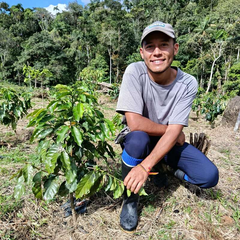 Un joven con camisa gris y gorra se arrodilla junto a plantas verdes y sanas en una granja, rodeado de un frondoso bosque y la luz del sol, sonriendo feliz.