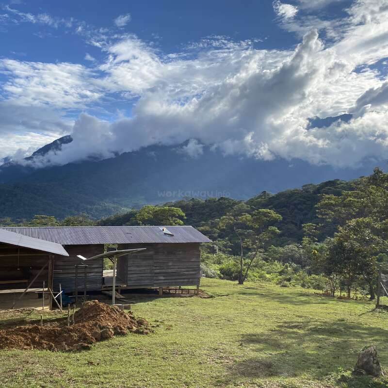 A rustic wooden cabin sits on a grassy field, surrounded by lush green trees. Majestic mountains and dramatic clouds create a breathtaking, peaceful natural landscape.