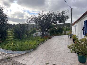 A paved pathway runs alongside a white house with blue shutters, bordered by potted plants, green grass, trees, and cloudy sky, creating a peaceful countryside scene.