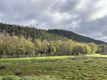 A lush green field stretches beneath a forested hillside, with sunlight illuminating the trees. Clouds fill the sky, casting shadows over the serene landscape.