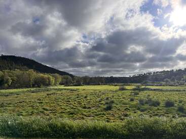 A vibrant green field stretches under a dramatic cloudy sky, sunlight breaking through. Trees border the landscape, and distant hills create a sense of calm tranquility.