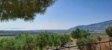 A peaceful landscape with lush green trees in the foreground, vast fields stretching into the distance, mountains on the right, and a calm blue sky above.