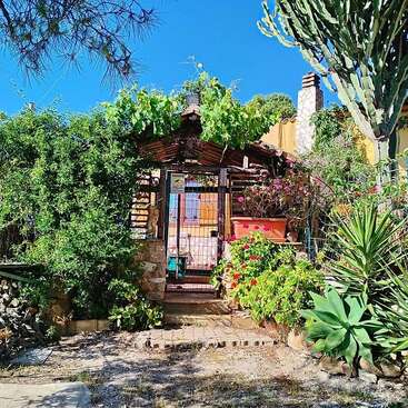 A charming garden entrance with lush greenery, vibrant flowers, potted plants, and various cacti. The rustic gate leads to a cozy, sunlit house under a clear blue sky.