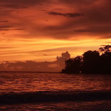 L'image représente un coucher de soleil serein au-dessus d'une étendue d'eau, avec une silhouette d'arbres sur le côté droit, sur fond de ciel orange vif.