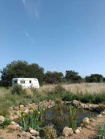 Una tranquila escena rural muestra una caravana blanca entre la hierba alta, las flores silvestres y los juncos. Un pequeño estanque refleja el cielo azul con un fondo de frondosos árboles.