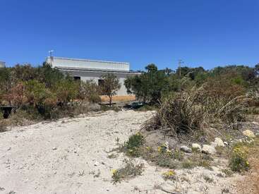 The image shows a sandy, dry area with scattered bushes, yellow wildflowers, and a modern, rectangular building in the background under a clear blue sky.