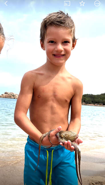 The image depicts a young boy holding an octopus on a beach, with the ocean and sky visible in the background. He is shirtless and wearing blue swim trunks.