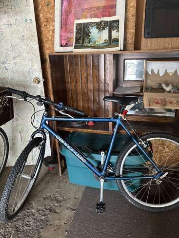 Ein blaues Cannondale-Mountainbike lehnt an einem Schrank in einer überfüllten Garage. Kunstwerke, eine grüne Mülltonne und eine mit Kritzeleien übersäte Wand tragen zur chaotischen Atmosphäre bei.