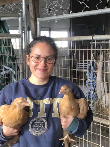 A woman wearing a blue sweatshirt with a university logo holds two light-brown chickens in a barn with metal fencing and hay visible in the background.