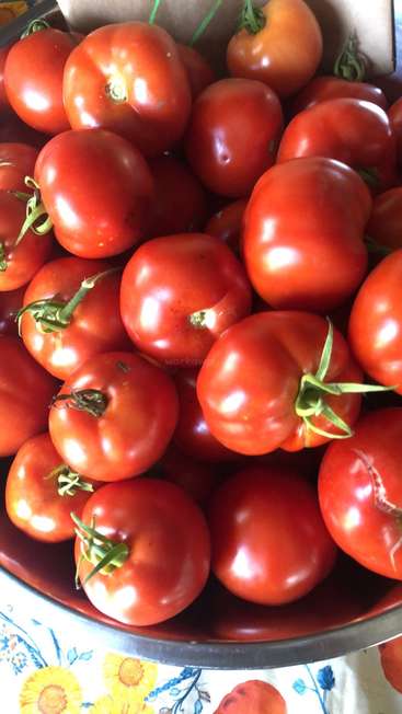 The image depicts a large bowl overflowing with ripe red tomatoes, featuring green stems, set against a tablecloth adorned with a vibrant floral pattern.
