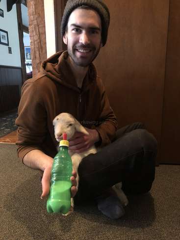 A man sits on the floor, cradling a white goat kid, with a green bottle in his hand, set against a warm-toned wooden wall and brown carpet background.