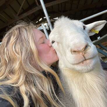 Das Bild zeigt eine Frau mit langen blonden Haaren, die ein weißes Schaf in einer Scheune auf die Wange küsst. Das Schaf hat eine gelbe Markierung am Ohr.
