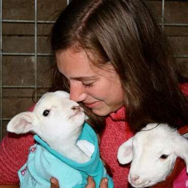 The image depicts a young girl cradling two white lambs, one of which is wrapped in a blue towel, set against a rustic wooden wall backdrop.