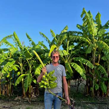 A man with sunglasses stands smiling in front of tall banana plants, holding a large bunch of green bananas under a clear blue sky.