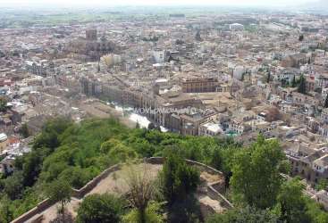 Das Bild zeigt eine Stadtlandschaft mit einem großen Gewässer, umgeben von Gebäuden und Bäumen, mit einem markanten Baum im Vordergrund.