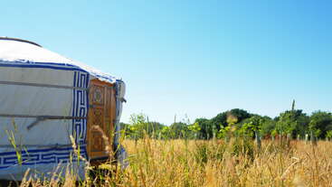 Eine traditionelle Jurte mit einer verzierten Holztür steht auf einer Wiese mit hohem, trockenem Gras unter einem strahlend blauen Himmel, umgeben von grünen Bäumen und Sträuchern.