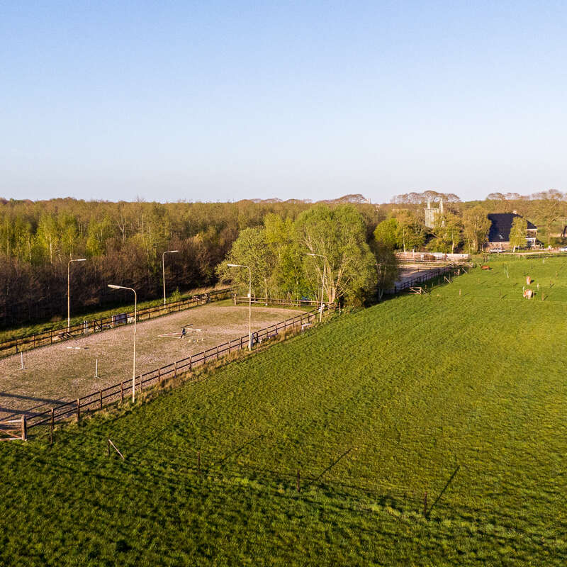 Help us around our hobby horse farm, and drive my daughter to school or