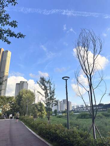 Um céu azul claro paira sobre um parque da cidade. As pessoas caminham por um caminho pavimentado, ladeado por árvores, vegetação e altos prédios de apartamentos ao fundo.