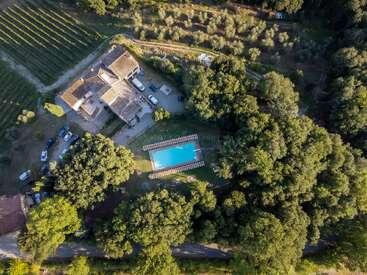 Cette image aérienne montre une villa à la campagne avec une piscine, entourée d'arbres luxuriants, de jardins, de voitures garées et de rangées de vignes à proximité, créant un havre de paix.