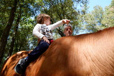 Un jeune enfant est assis sur un cheval, pointant du doigt au loin, tandis qu'un adulte se tient à proximité dans une forêt ensoleillée, entourée de grands arbres verts.