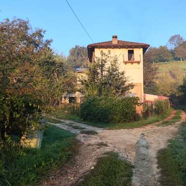 Une maison rustique à deux étages se dresse au bord d'un chemin de terre bifurqué, entourée de verdure luxuriante, d'arbres et de la lumière du soleil matinal sous un ciel bleu limpide. Une campagne tranquille.