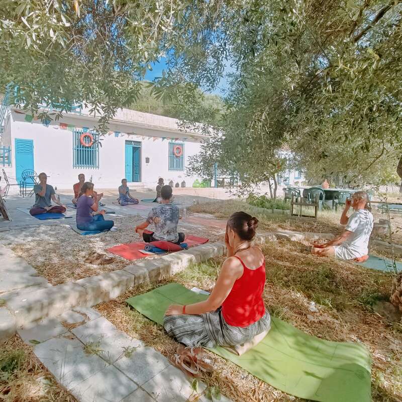 A group of people practice outdoor yoga or meditation on mats, surrounded by trees and sunlight, near a charming white building with blue doors and windows.
