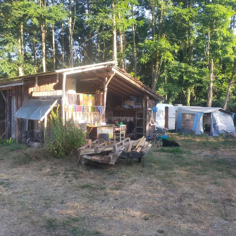 A rustic wooden shed stands surrounded by trees, with a wheelbarrow, pallets, and signs outside. Nearby, tents and a white van suggest a lived-in, communal space.