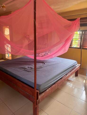 Uma cama de madeira com um colchão cinza está coberta por um mosquiteiro rosa num quarto ensolarado, com piso de azulejos, janelas de venezianas abertas e paredes amarelas.