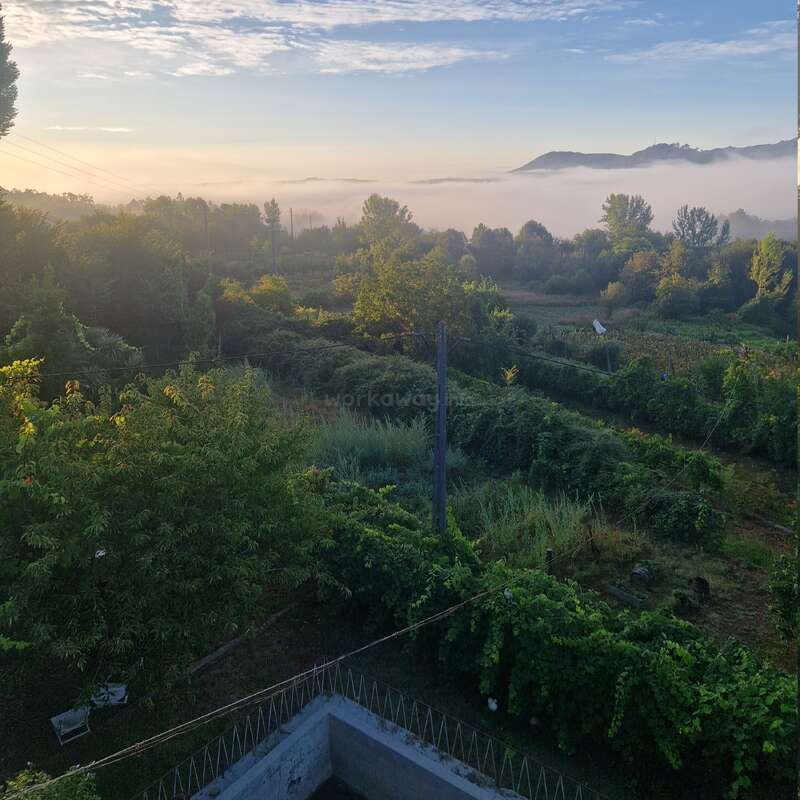 Dieses heitere Bild fängt eine üppige, grüne Landschaft bei Sonnenaufgang ein. Der Nebel legt sich sanft über die fernen Hügel, während das Sonnenlicht die Bäume und Gärten in ein goldenes Licht taucht.