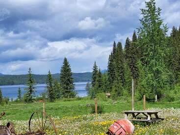 Una tranquila escena junto a un lago con flores silvestres, árboles dispersos y un denso bosque. Una vieja rueda de carreta, una mesa de picnic y un cielo nublado completan el pintoresco y tranquilo paisaje.