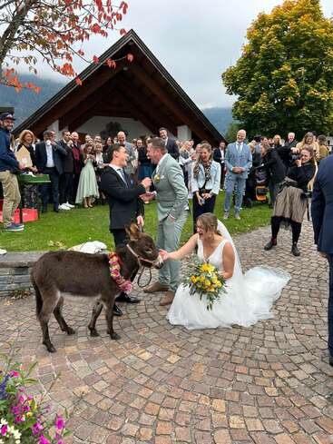 Eine fröhliche Hochzeitsszene im Freien mit einer Braut, die einen kleinen, mit Blumen geschmückten Esel streichelt, umgeben von glücklichen Gästen, Gelächter und leuchtenden Herbstbäumen im Hintergrund.