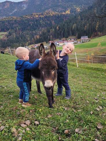 Zwei kleine Kinder streicheln fröhlich einen kleinen Esel im Freien. Sie stehen auf einem grasbewachsenen Hügel mit verstreutem Laub, umgeben von malerischen Bergen und charmanten ländlichen Häusern.
