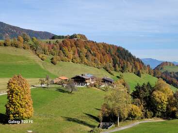 Eine malerische Landschaftsszene mit grünen Hügeln, bunten Herbstbäumen, verstreuten Bauernhäusern und fernen Bergen unter einem klaren blauen Himmel an einem sonnigen Tag.