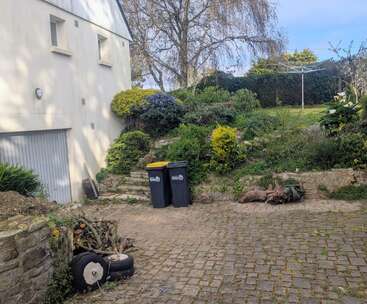 Eine gepflasterte Einfahrt mit zwei Mülltonnen, ein paar Baumstämmen und Reifen führt zu einer Garage. Im Hintergrund sieht man üppiges Grün, Büsche und eine Wäscheleine.