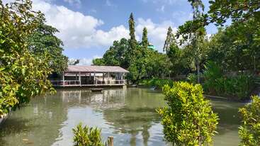 A peaceful pond surrounded by lush green trees and bushes, reflecting the sky and clouds, with a wooden hut on the water, creating a serene atmosphere.