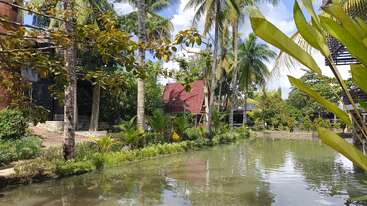 A serene pond surrounded by lush greenery and palm trees, with a small wooden cabin in the background under a bright, sunny sky, creating a peaceful atmosphere.