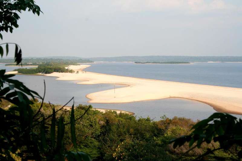 Wallpaper Help Us To Preserve The Amazon By Growing A Food Forest Brazil Desktop Wallpaper
