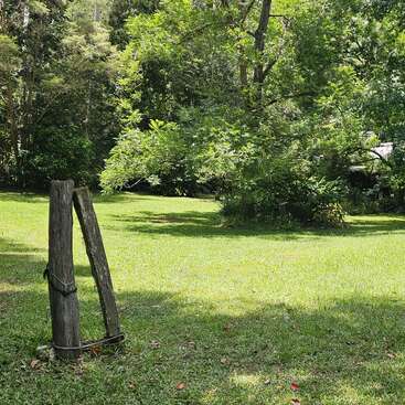 A lush, green park with tall trees and vibrant grass. Two wooden posts, possibly remnants of an old fence, stand in the foreground, casting gentle shadows.