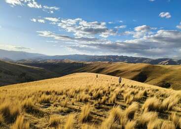 Pastos dorados cubren colinas suavemente onduladas bajo un cielo azul brillante con nubes dispersas. Dos personas caminan entre la hierba alta, rodeadas de paisajes montañosos.
