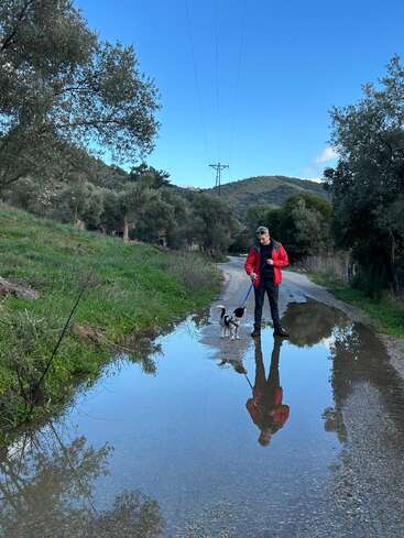 A person in a red jacket walks a small dog on a rural road, reflected vividly in a large puddle, surrounded by trees and hills under blue sky.