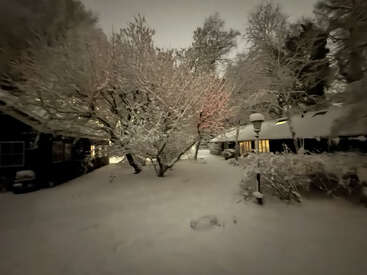 Eine friedliche Winternacht mit schneebedeckten Bäumen und Boden, gemütlichen Häusern mit leuchtenden Fenstern und einer ruhigen Straßenlaterne, die eine traumhafte, ruhige Landschaft beleuchtet.