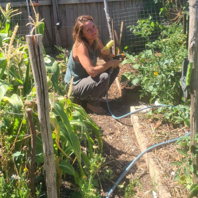 Una mujer cuida de un jardín, de pie detrás de una hilera de plantas, con una valla y árboles visibles al fondo, rodeada de verdor y follaje.