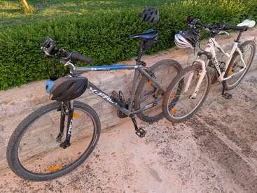 Two mountain bikes, one black and one white, are parked against a stone wall with helmets on their handlebars, next to green shrubbery on a sunny day.